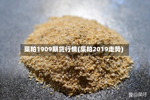 菜粕1909期货行情(菜粕2019走势)-第1张图片