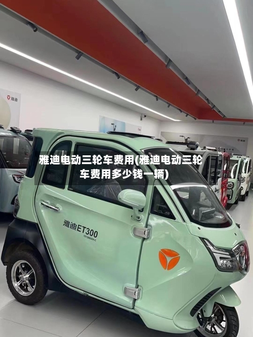雅迪电动三轮车费用(雅迪电动三轮车费用多少钱一辆)