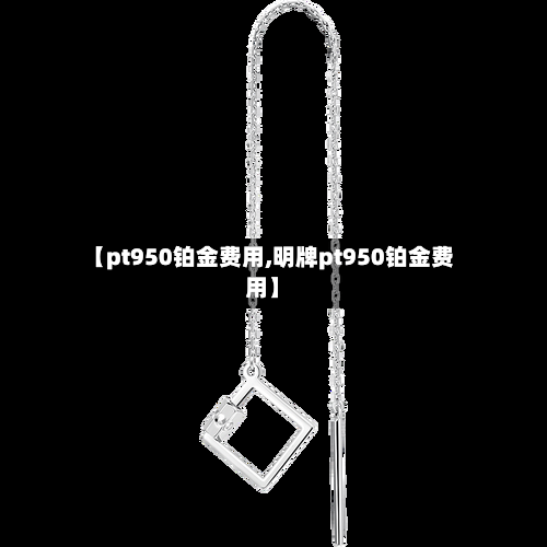 【pt950铂金费用,明牌pt950铂金费用】-第3张图片