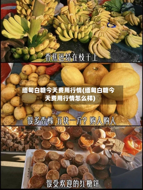 缅甸白糖今天费用行情(缅甸白糖今天费用行情怎么样)-第2张图片
