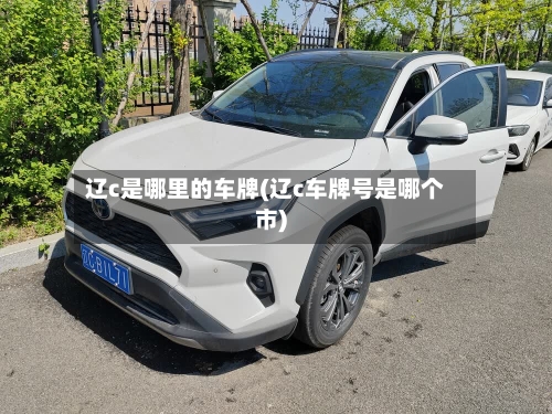 辽c是哪里的车牌(辽c车牌号是哪个市)-第3张图片