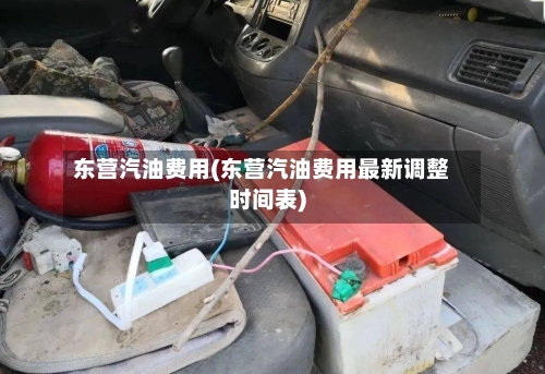 东营汽油费用(东营汽油费用最新调整时间表)