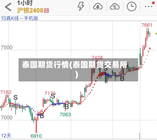 泰国期货行情(泰国期货交易所)-第3张图片