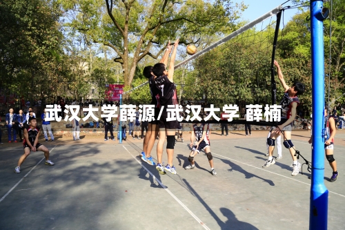 武汉大学薛源/武汉大学 薛楠-第2张图片