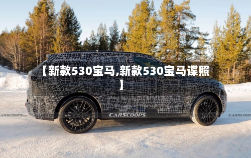 【新款530宝马,新款530宝马谍照】