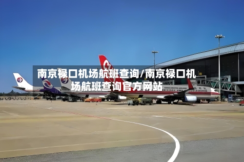 南京禄口机场航班查询/南京禄口机场航班查询官方网站