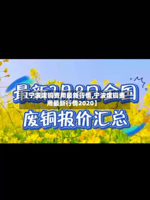 【宁波废铜费用最新行情,宁波废铜费用最新行情2020】-第3张图片