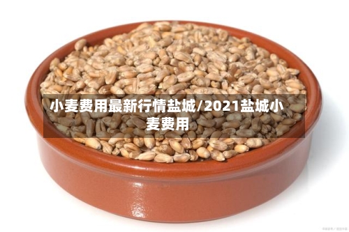 小麦费用最新行情盐城/2021盐城小麦费用