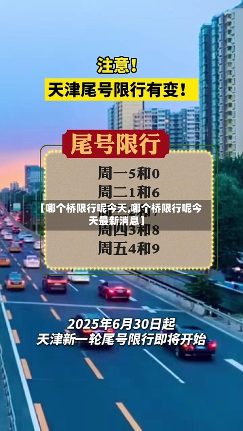 【哪个桥限行呢今天,哪个桥限行呢今天最新消息】-第2张图片