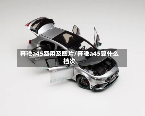奔驰a45费用及图片/奔驰a45算什么档次