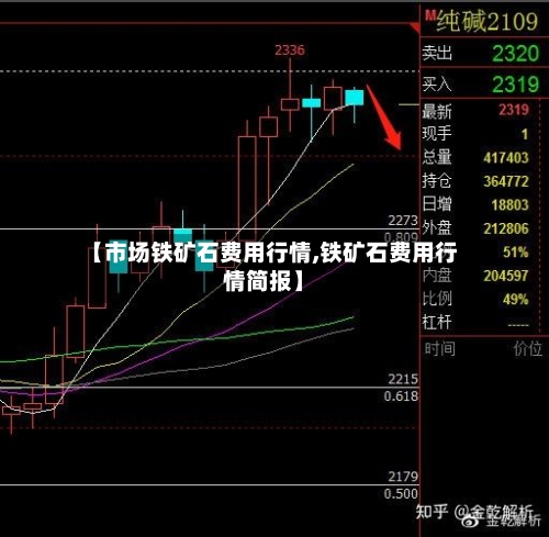 【市场铁矿石费用行情,铁矿石费用行情简报】