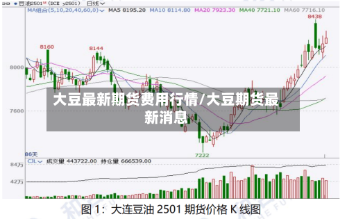 大豆最新期货费用行情/大豆期货最新消息-第2张图片
