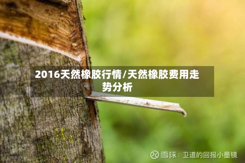 2016天然橡胶行情/天然橡胶费用走势分析