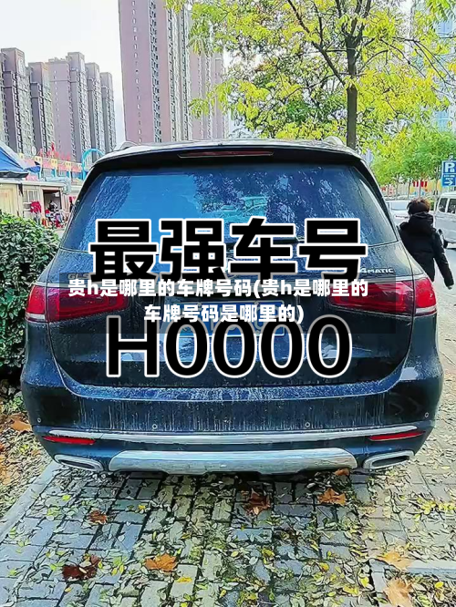 贵h是哪里的车牌号码(贵h是哪里的车牌号码是哪里的)