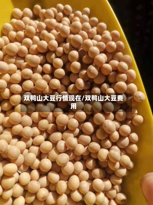 双鸭山大豆行情现在/双鸭山大豆费用-第3张图片