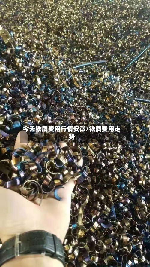 今天铁屑费用行情安徽/铁屑费用走势
