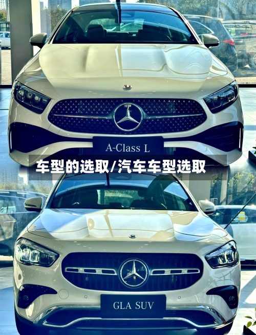 车型的选取/汽车车型选取