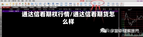 通达信看期权行情/通达信看期货怎么样