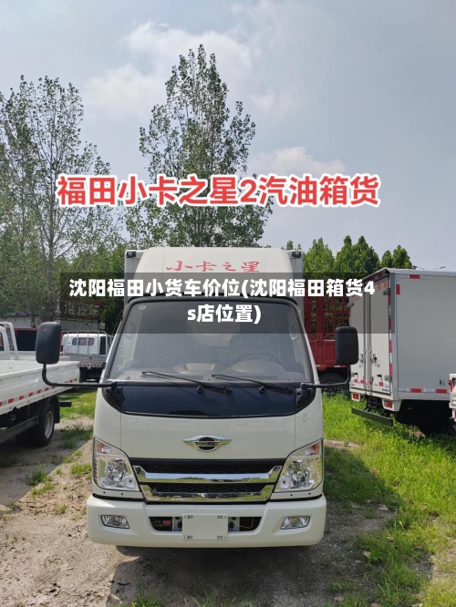 沈阳福田小货车价位(沈阳福田箱货4s店位置)-第2张图片