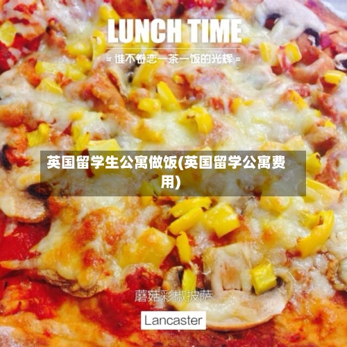 英国留学生公寓做饭(英国留学公寓费用)