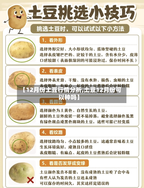 【12月份土豆行情分析,土豆12月份可以种吗】