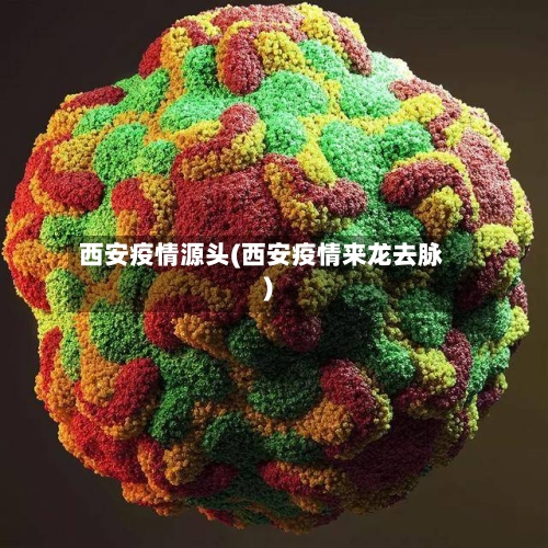 西安疫情源头(西安疫情来龙去脉)-第2张图片