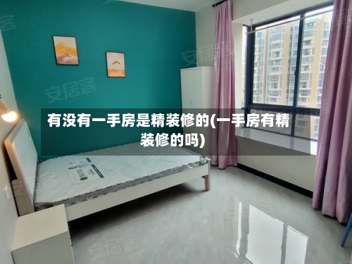 有没有一手房是精装修的(一手房有精装修的吗)-第2张图片