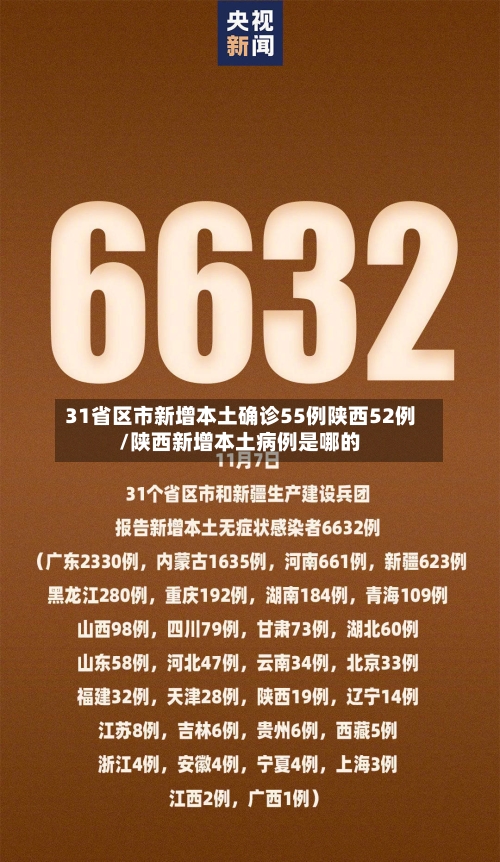 31省区市新增本土确诊55例陕西52例/陕西新增本土病例是哪的-第3张图片