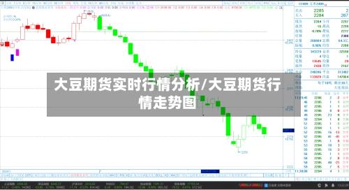 大豆期货实时行情分析/大豆期货行情走势图-第2张图片