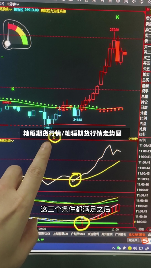籼稻期货行情/籼稻期货行情走势图-第2张图片