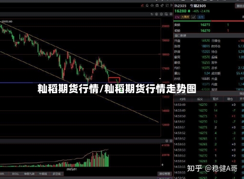 籼稻期货行情/籼稻期货行情走势图