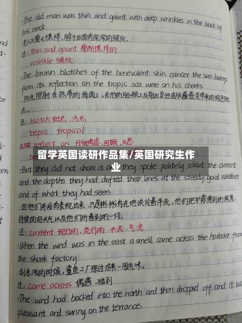 留学英国读研作品集/英国研究生作业