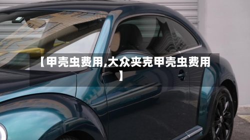 【甲壳虫费用,大众夹克甲壳虫费用】-第2张图片
