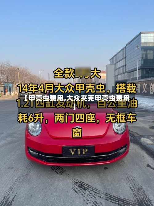 【甲壳虫费用,大众夹克甲壳虫费用】