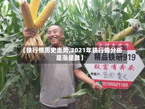 【铁行情历史走势,2021年铁行情分析是涨是跌】-第3张图片