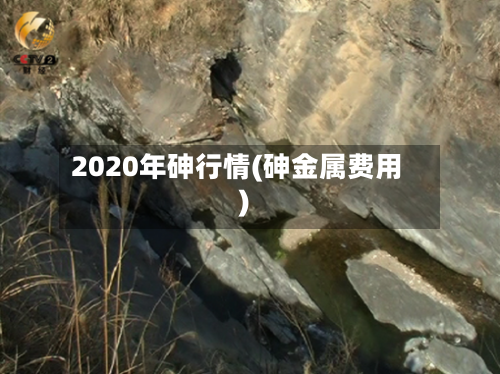 2020年砷行情(砷金属费用)-第2张图片