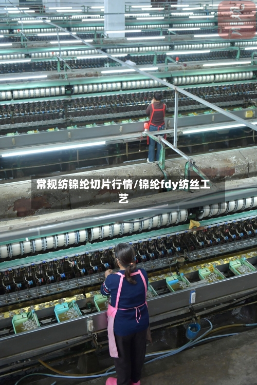常规纺锦纶切片行情/锦纶fdy纺丝工艺