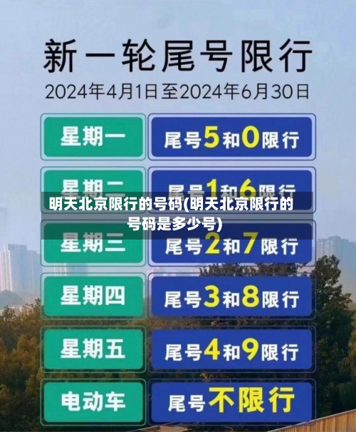 明天北京限行的号码(明天北京限行的号码是多少号)-第2张图片