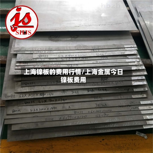 上海镍板的费用行情/上海金属今日镍板费用-第2张图片
