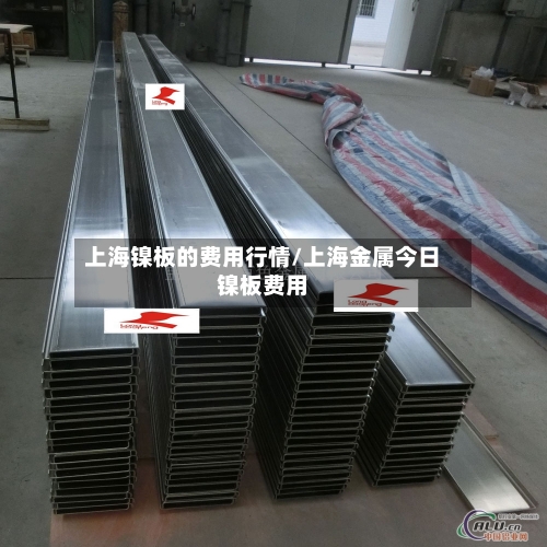 上海镍板的费用行情/上海金属今日镍板费用-第3张图片