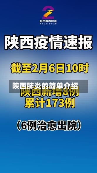 陕西肺炎的简单介绍-第2张图片