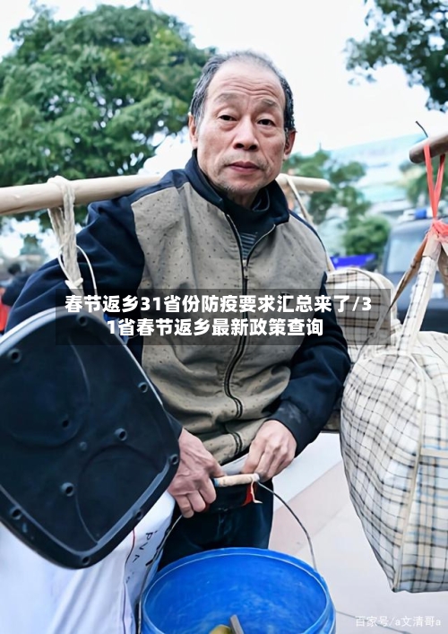 春节返乡31省份防疫要求汇总来了/31省春节返乡最新政策查询-第2张图片