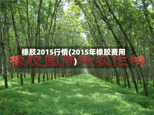 橡胶2015行情(2015年橡胶费用)