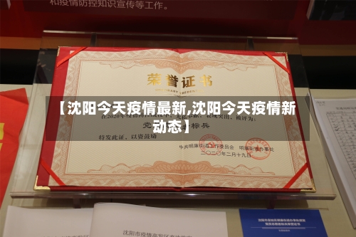 【沈阳今天疫情最新,沈阳今天疫情新动态】