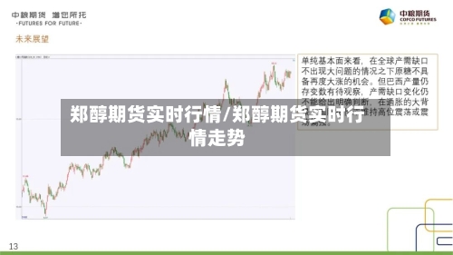 郑醇期货实时行情/郑醇期货实时行情走势