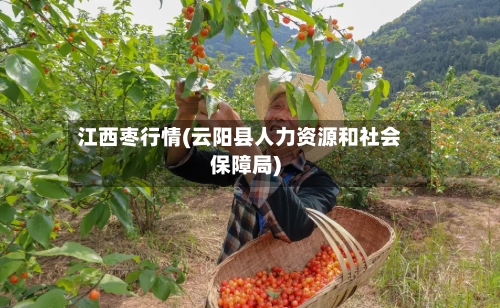 江西枣行情(云阳县人力资源和社会保障局)-第2张图片