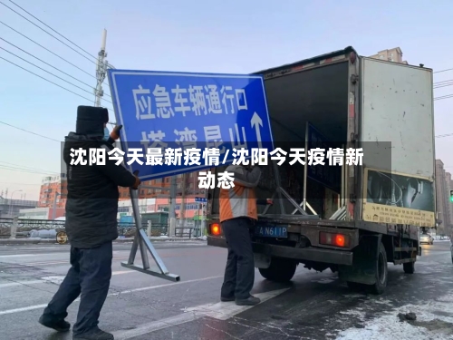 沈阳今天最新疫情/沈阳今天疫情新动态-第2张图片