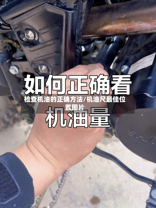 检查机油的正确方法/机油尺最佳位置图片