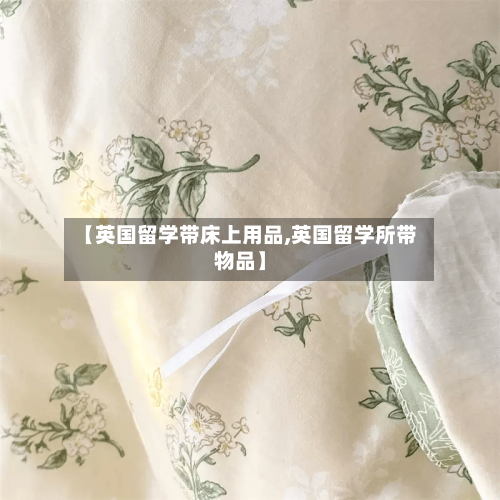 【英国留学带床上用品,英国留学所带物品】-第3张图片