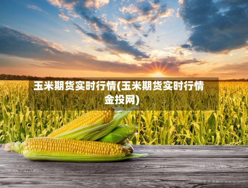 玉米期货实时行情(玉米期货实时行情金投网)-第3张图片